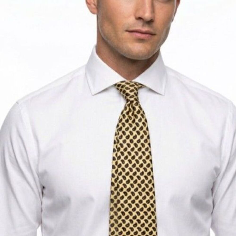 Robert Talbott Men's Cream Yellow Blue Burgundy Paisley 100% Silk Tie